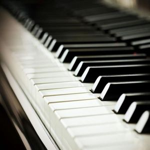 做爱视频想让你
