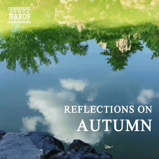 做爱视频想让你
